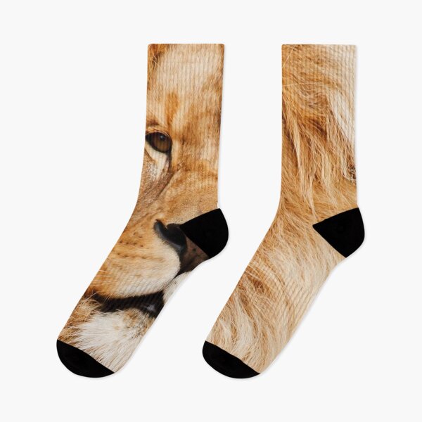 Item preview, Photo - Animals - Lion - Cub, Adult, Couple - Lion - 6 - 1 - 1 - 1 - 1 - 1 - 1 - Design 1 - 1 - 1 - 1 - 1 - 1 - 1 - 1 designed and sold by anonlalo.