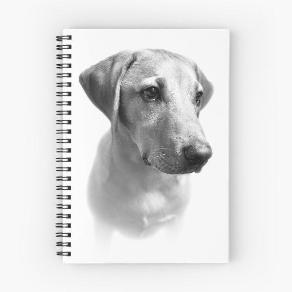 Item preview, Dexter the Fox Red Labrador - The Perfect Puppy (black & white) designed and sold by DexterFRL.
