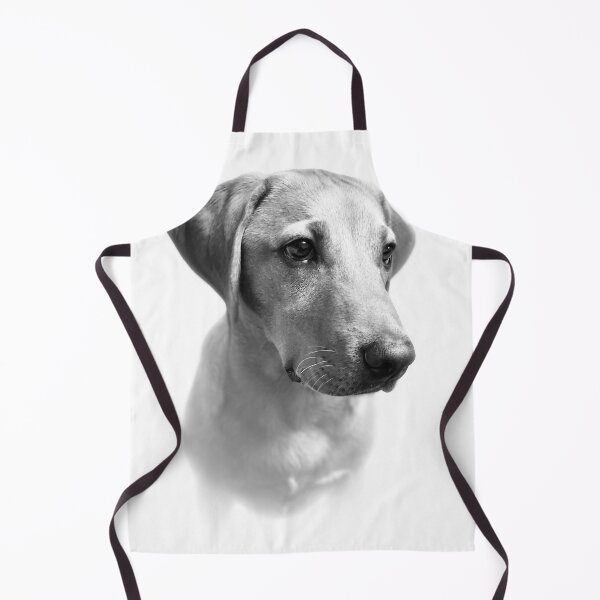 Item preview, Dexter the Fox Red Labrador - The Perfect Puppy (black & white) designed and sold by DexterFRL.