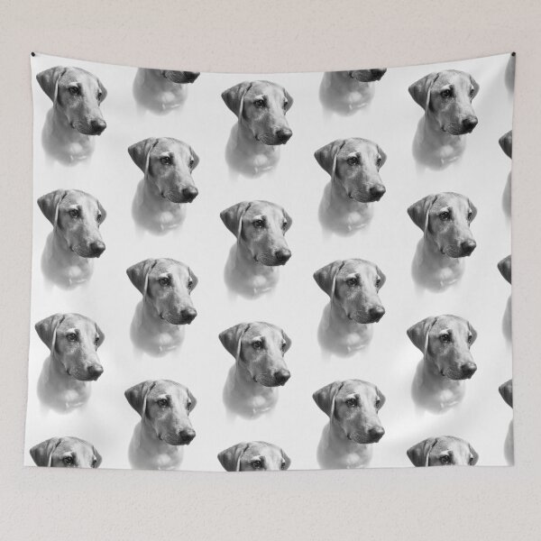Item preview, Dexter the Fox Red Labrador - The Perfect Puppy (black & white) designed and sold by DexterFRL.