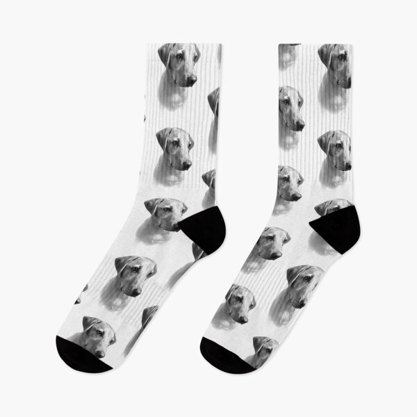 Item preview, Dexter the Fox Red Labrador - The Perfect Puppy (black & white) designed and sold by DexterFRL.