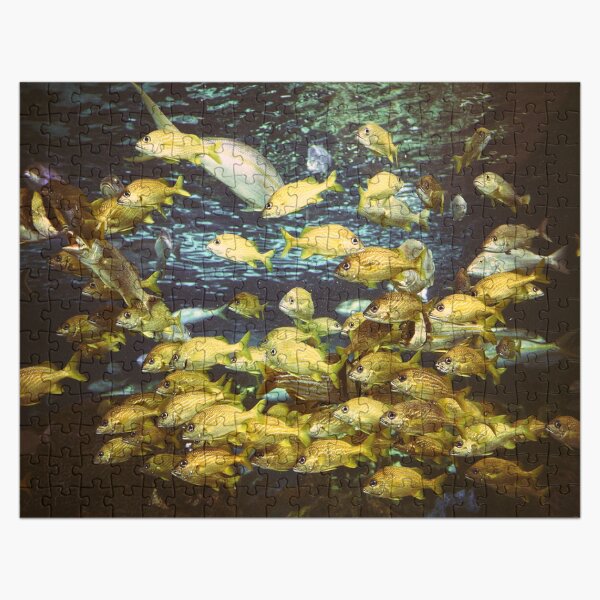 School of Fish Jigsaw Puzzle Jigsaw Puzzle