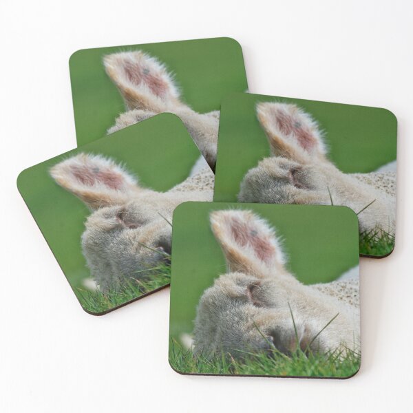 Item preview, Spring lamb designed and sold by Jellycandy.