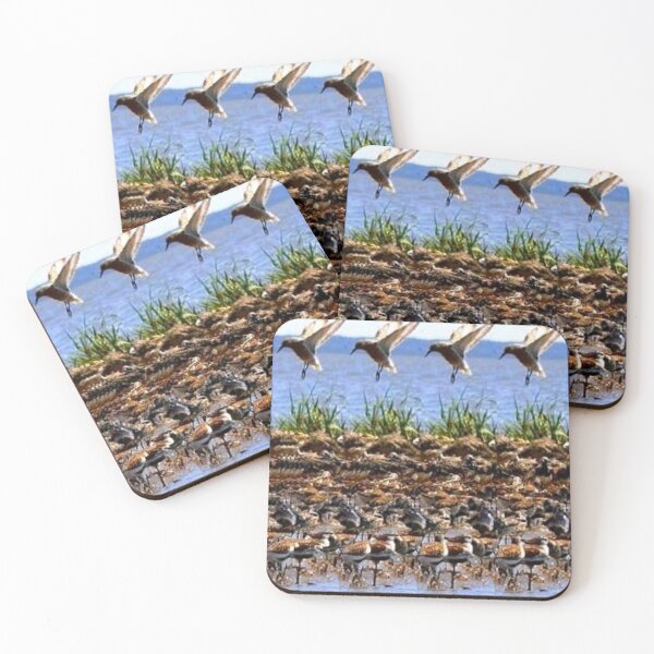 Item preview, HAPPY BIRDS Stereogram designed and sold by JMarP.