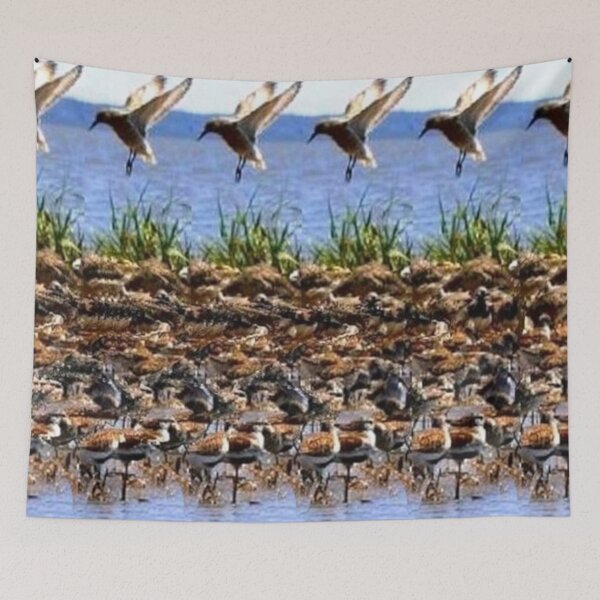 Item preview, HAPPY BIRDS Stereogram designed and sold by JMarP.