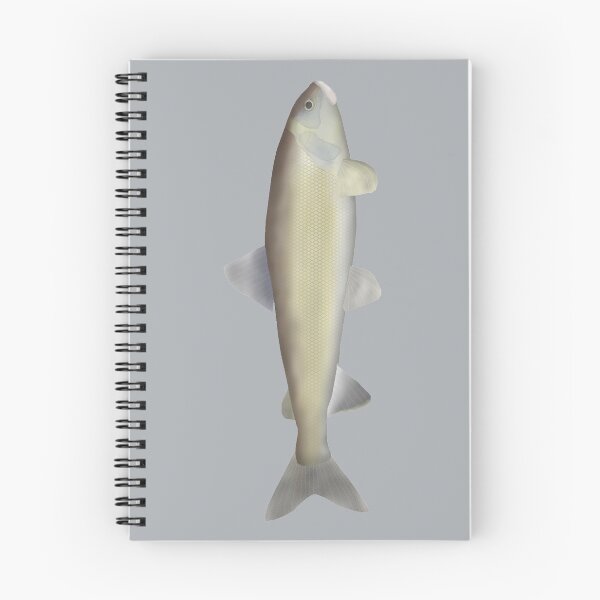 Item preview, Mountain Whitefish designed and sold by fishfolkart.