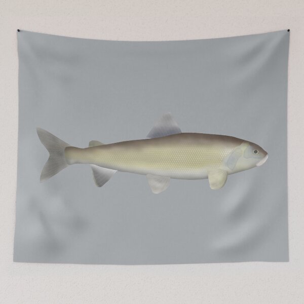 Item preview, Mountain Whitefish designed and sold by fishfolkart.