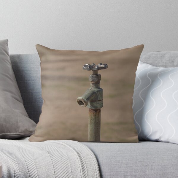 Old Faucet in the Desert Throw Pillow