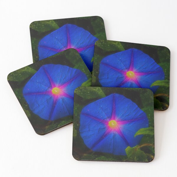 Item preview, Morning Glory designed and sold by Keith's Photo Artistry.