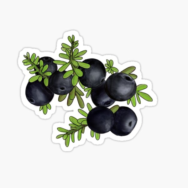 Artikel-Vorschau von Brombeeren, designt und verkauft von sarahschroeder.