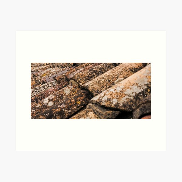 Item preview, Spanish roof top  from travels designed and sold by Aquila Light Pictures.