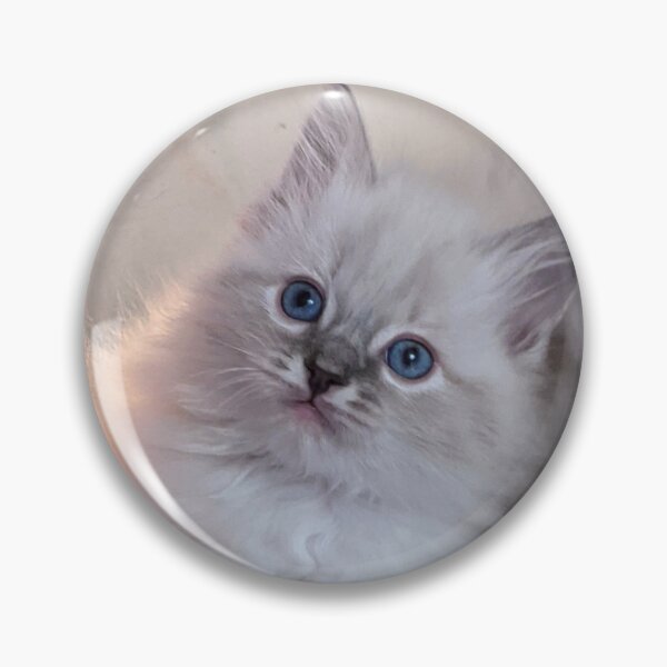Item preview,   Lynx ragdoll baby cat designed and sold by Fluffycat2020.