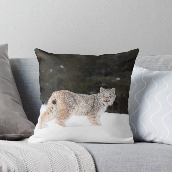 Item preview, Canada Lynx Kitten designed and sold by mlorenz.