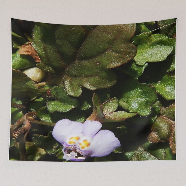 Item preview, Driveway Violet Under Massive Macro 02/04/2021 designed and sold by Mark Polk.