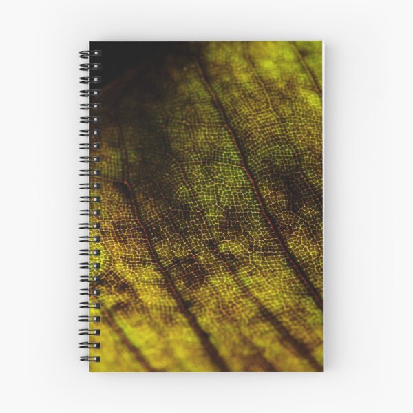 Item preview, Funeral for a tree #21 designed and sold by Emma Monceaux.