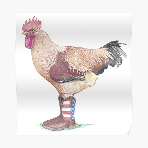 Rooster in US Flag boots Poster