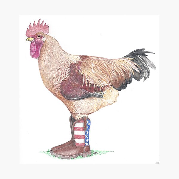 Rooster in US Flag boots Photographic Print