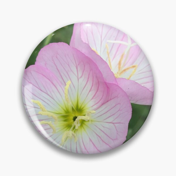 Item preview, Evening Primrose designed and sold by Dodie Mccandless.