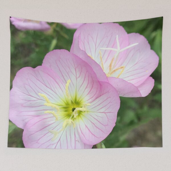 Item preview, Evening Primrose designed and sold by Dodie Mccandless.