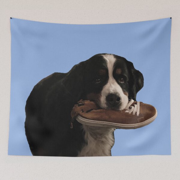 Item preview, Why My Shoes? designed and sold by Disnerd101.