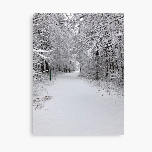 Item preview, Snowy Tree Path designed and sold by ml-77pro.