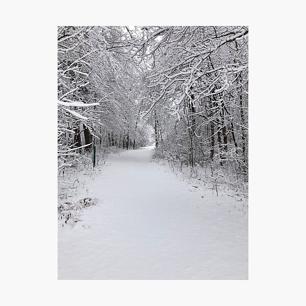 Item preview, Snowy Tree Path designed and sold by ml-77pro.