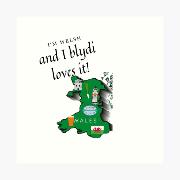 I'm Welsh And Proud Double Wall Water Bottle Funny Wales Flag Thermal 