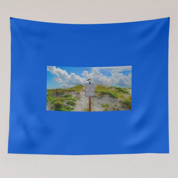 Item preview, Gallant Gull II designed and sold by Anthony Macaluso.