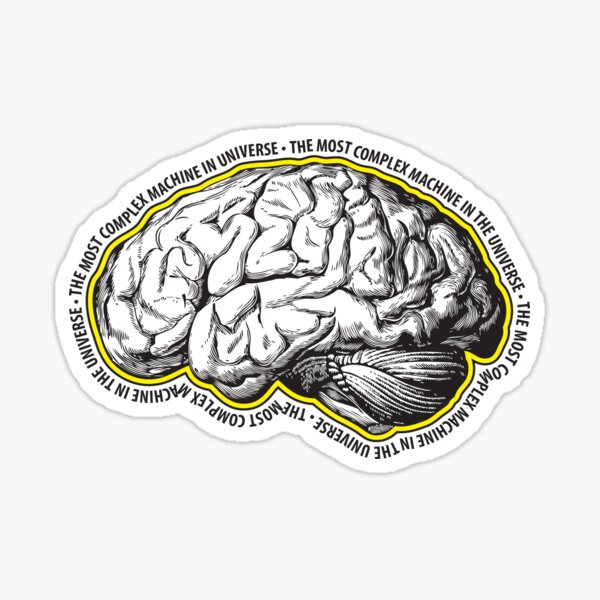 Brain. The Most Complex Machine in the Universe. Sticker