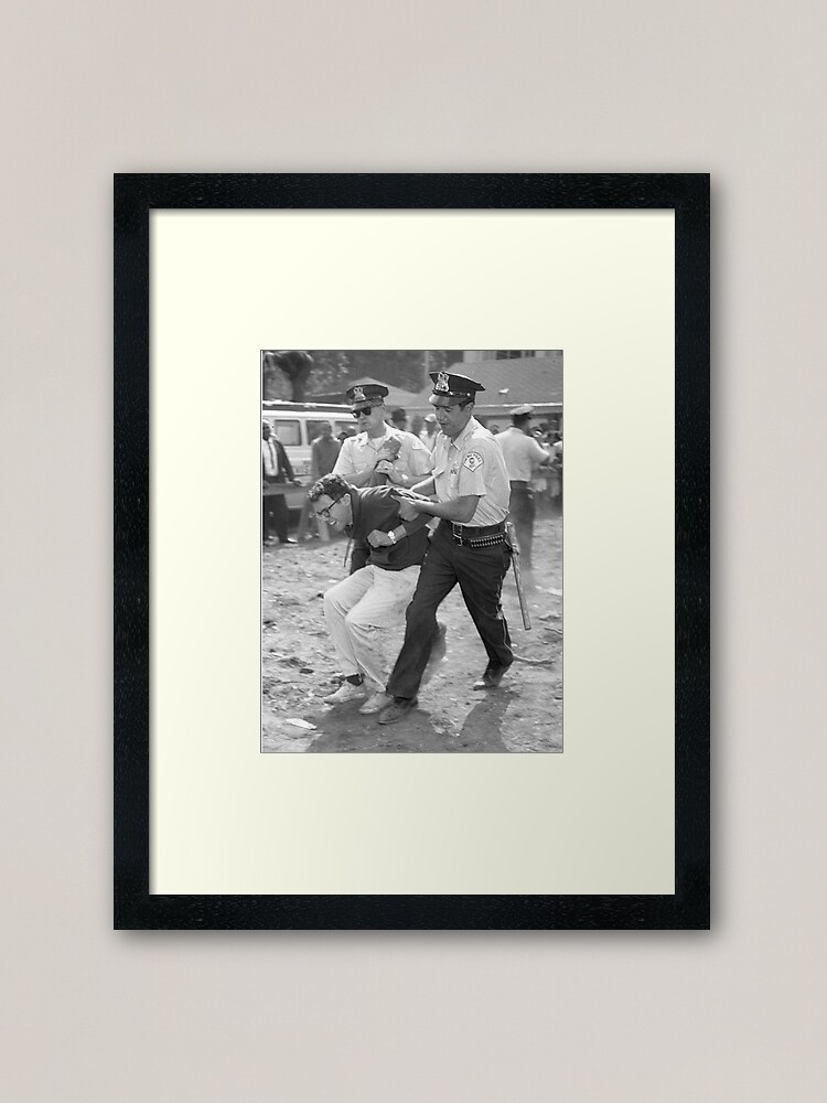 "Bernie Arrest" Framed Art Print for Sale by SpyFox Redbubble