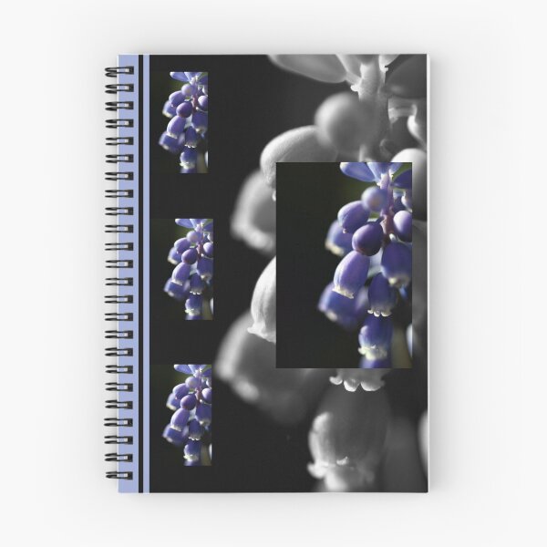 Item preview, Mood designed and sold by Joy Watson - Natural Light Photography .