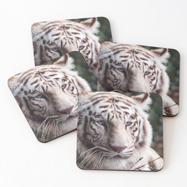 Item preview, White Bengal Tiger designed and sold by Animal Gifts For Animal Lovers.