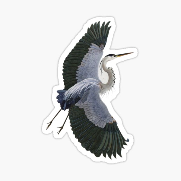 Heron Spirit Animal Gifts & Merchandise for Sale | Redbubble Heron Spirit Animal Gifts & Merchandise for Sale | Redbubble