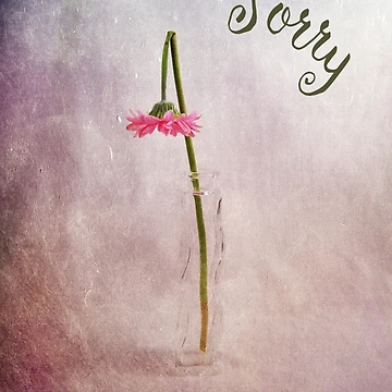 Artwork thumbnail, Sorry by Randi Grace Nilsberg