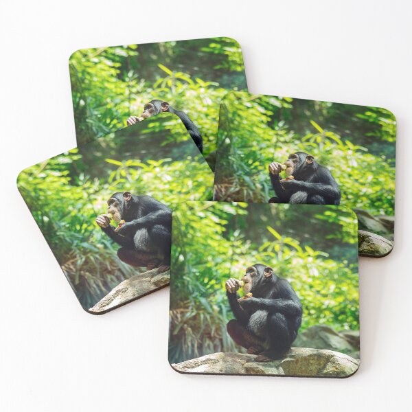 Artikelvorschau, Schimpansenfoto entworfen und verkauft von Animal Gifts For Animal Lovers.