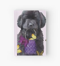 Newfoundland Sunshine Hardcover Journal