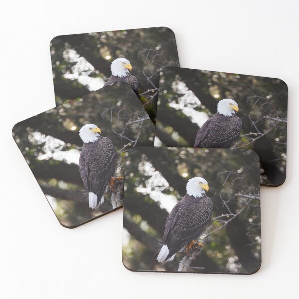 Item preview, Bald Eagle Photo  designed and sold by Animal Gifts For Animal Lovers.
