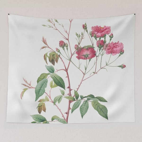Item preview, Les Roses by Pierre-Joseph Redouté designed and sold by EsotericBotanic.