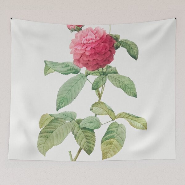 Item preview, Les Roses by Pierre-Joseph Redouté designed and sold by EsotericBotanic.