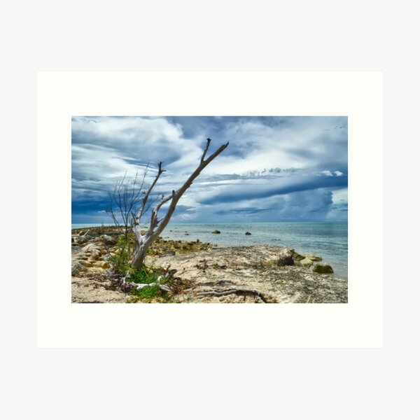 Item preview, The Sentinel designed and sold by Jeremy Lavender Photography.