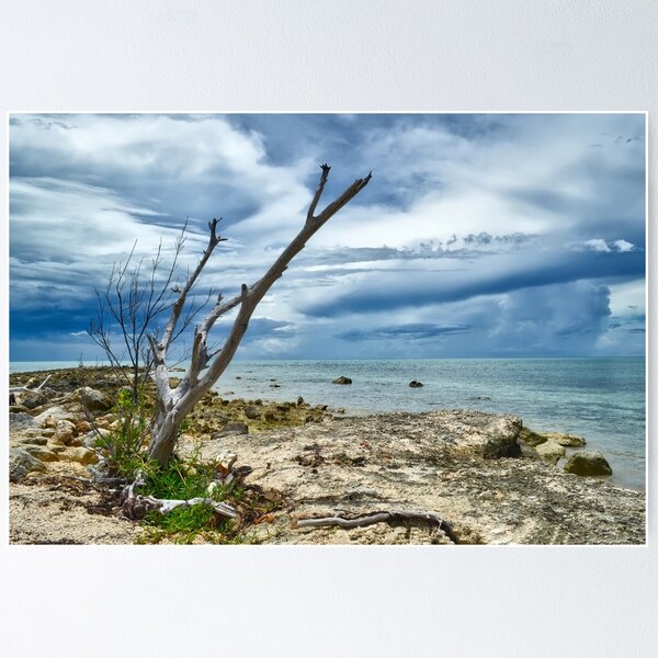 Item preview, The Sentinel designed and sold by Jeremy Lavender Photography.