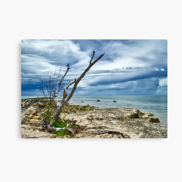 Item preview, The Sentinel designed and sold by Jeremy Lavender Photography.