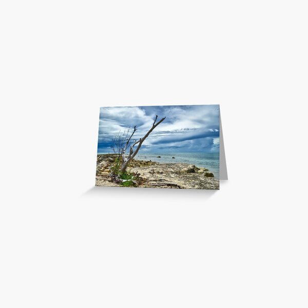 Item preview, The Sentinel designed and sold by Jeremy Lavender Photography.