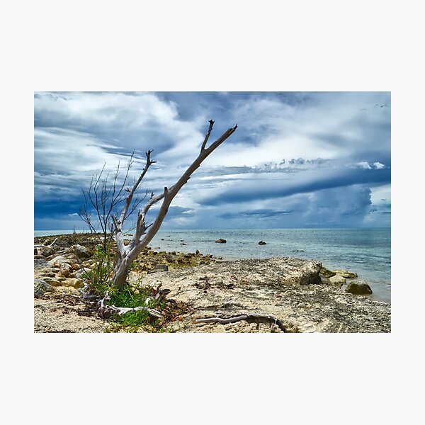 Item preview, The Sentinel designed and sold by Jeremy Lavender Photography.