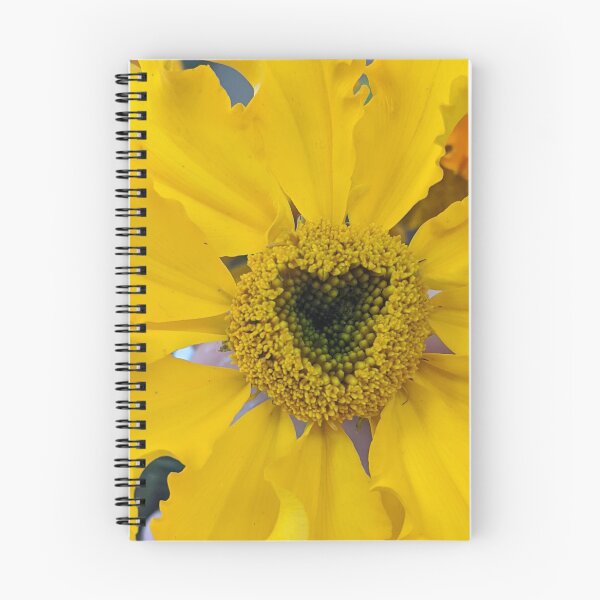 Aperçu de l'œuvre Coeur de souci créée et vendue par Cedesstuff.
