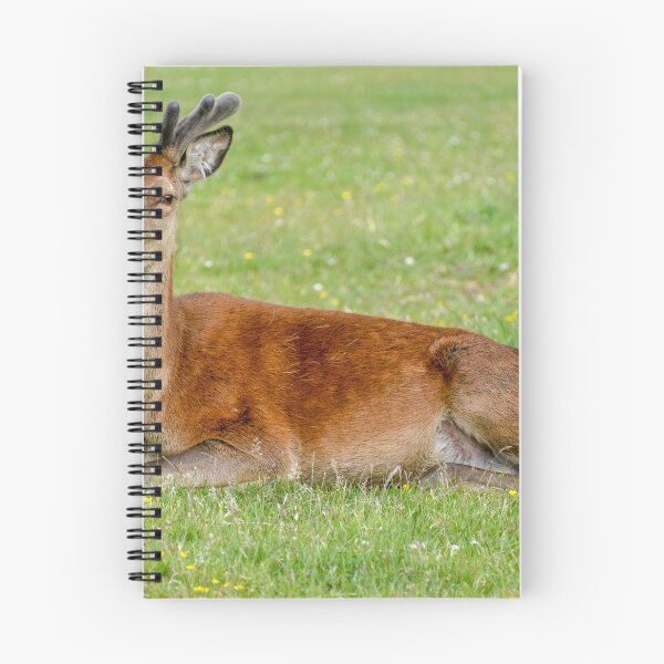 Item preview, Red Deer designed and sold by Bickeringbush.