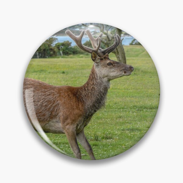 Item preview, Lochranza Red Deer designed and sold by Bickeringbush.