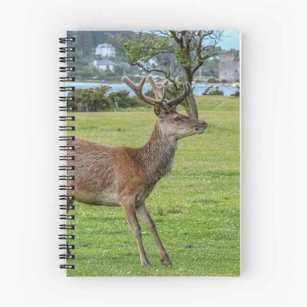 Item preview, Lochranza Red Deer designed and sold by Bickeringbush.