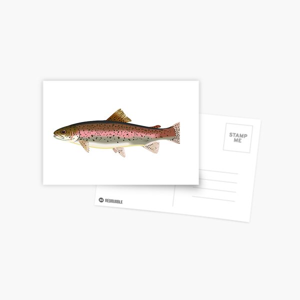 Fishing Postcards Redbubble - salmons classic roblox decals