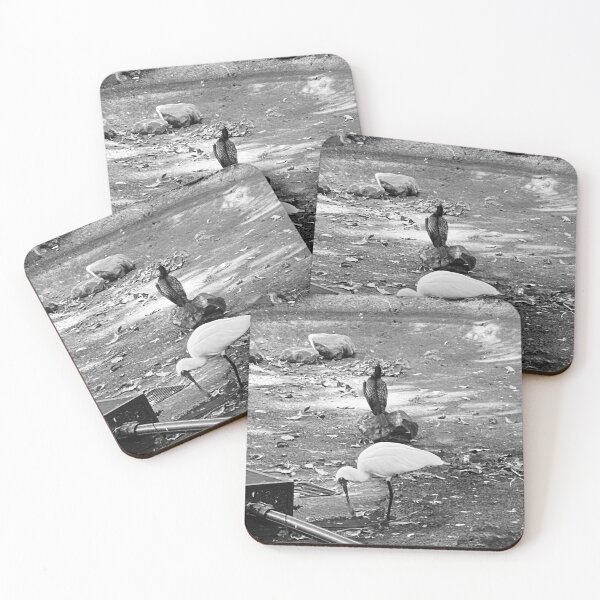 Item preview, Black-and-white birds designed and sold by Desirablesgoods.